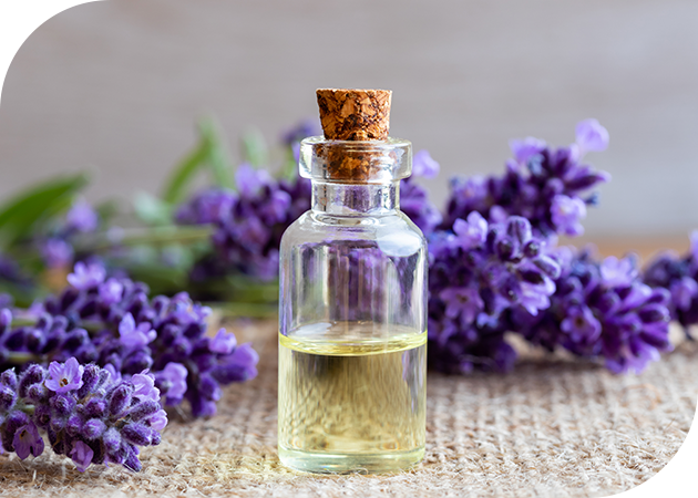 GCOOP Hair Conditioner - Image 3