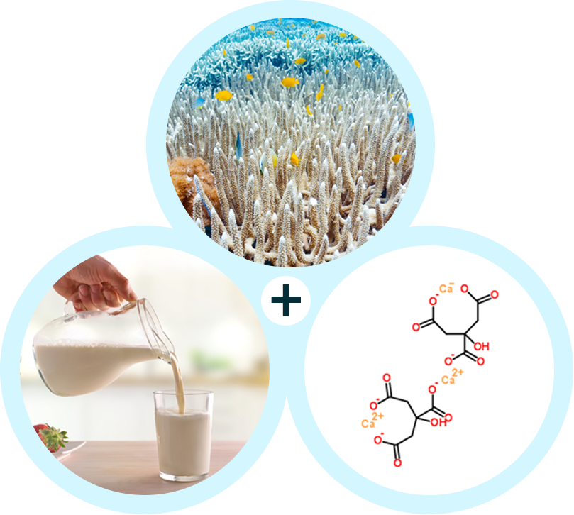 General Balance Calcium Magnesium - Image 3