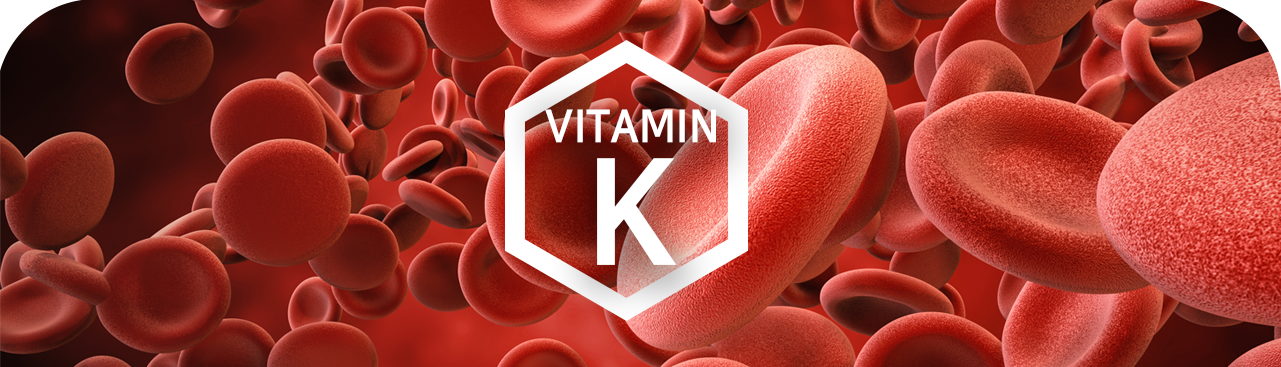 General Balance Calcium Magnesium - Image 5