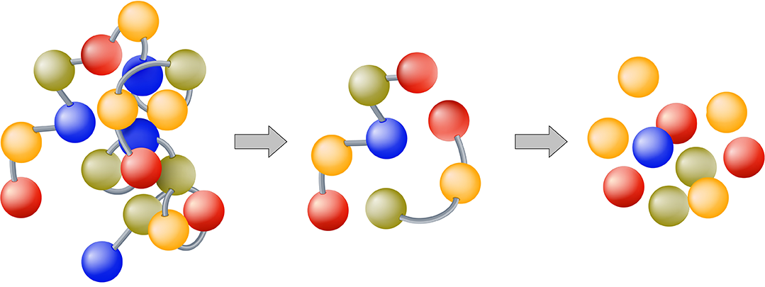 Digestive Enzyme Complex - Image 3