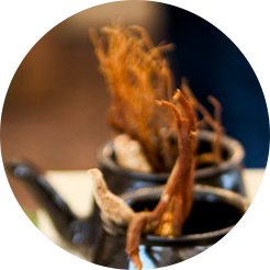 CareCella Skin Innovator - Image 3