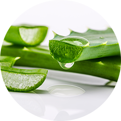 CareCella Hydra Soothing Mask Pack - Image 4