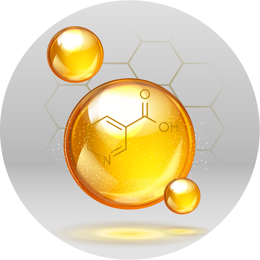 Milkthistle - Image 4