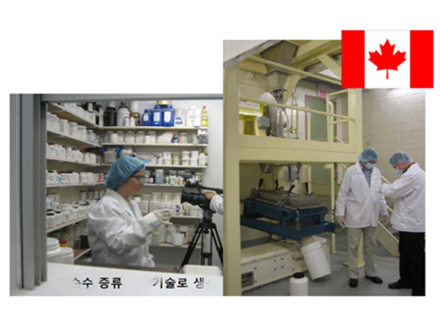 General Balance Plant Based MSM - Image 4