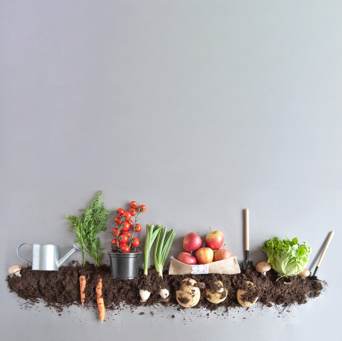 THE ELIXIR Green - Image 4